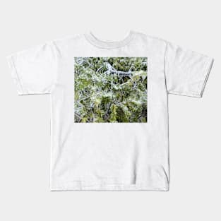 Frozen Canadian Hemlock - Freezing Rain in the Spring Kids T-Shirt